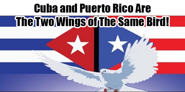June 18 UN Decolonization Hearings on Puerto Rico